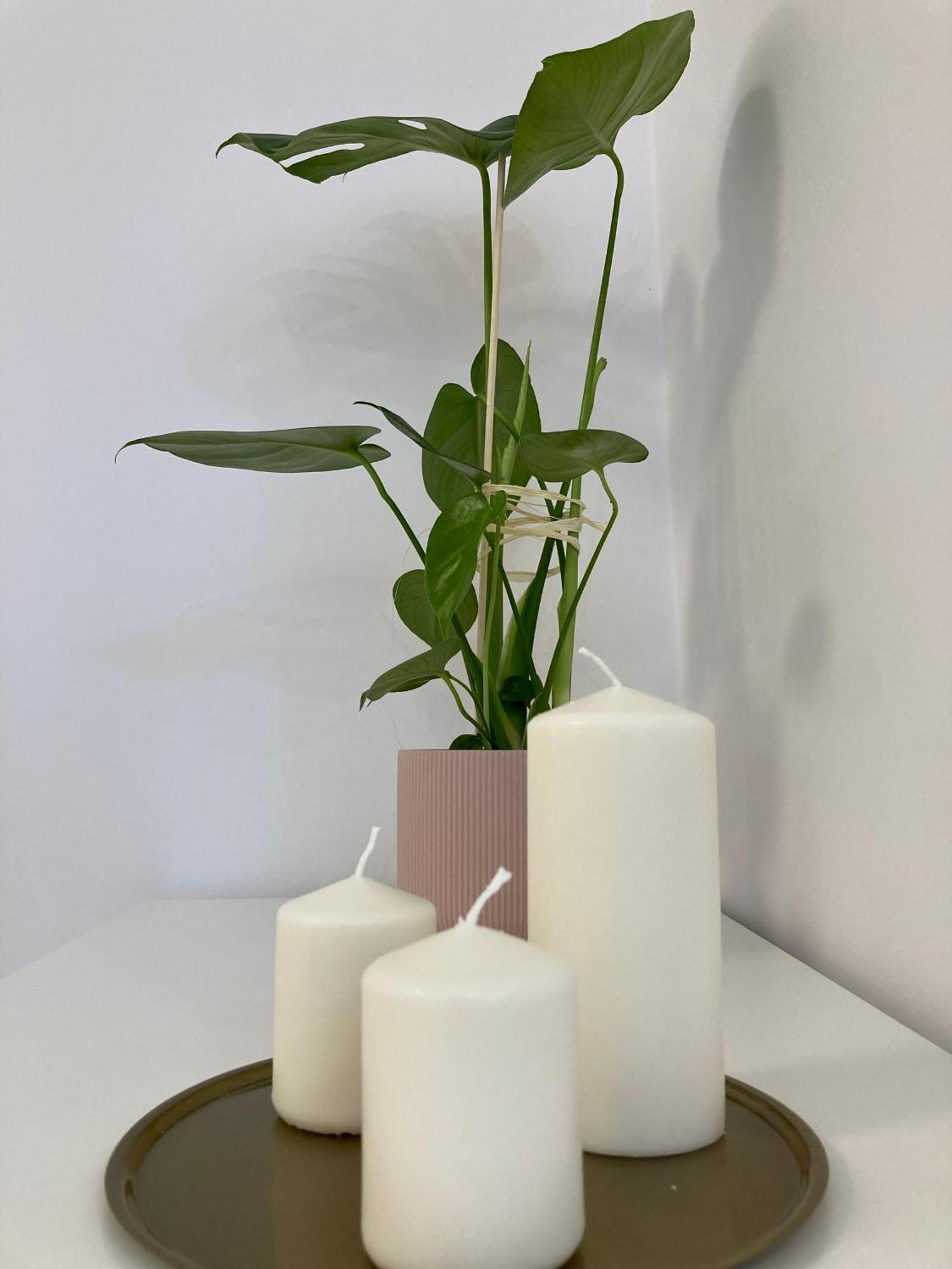 Duo 1 Debniki Apartment كراكوفيا المظهر الخارجي الصورة